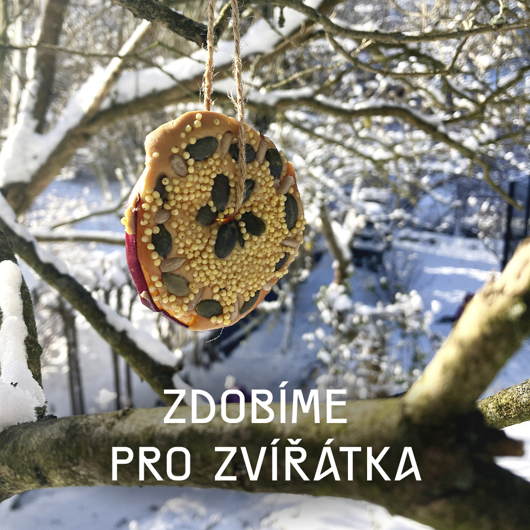 ZDOBÍME PRO ZVÍŘÁTKA – tvořivá vánoční dílna